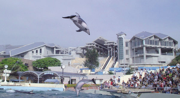 Photo of Okinawa Ocean Expo Park